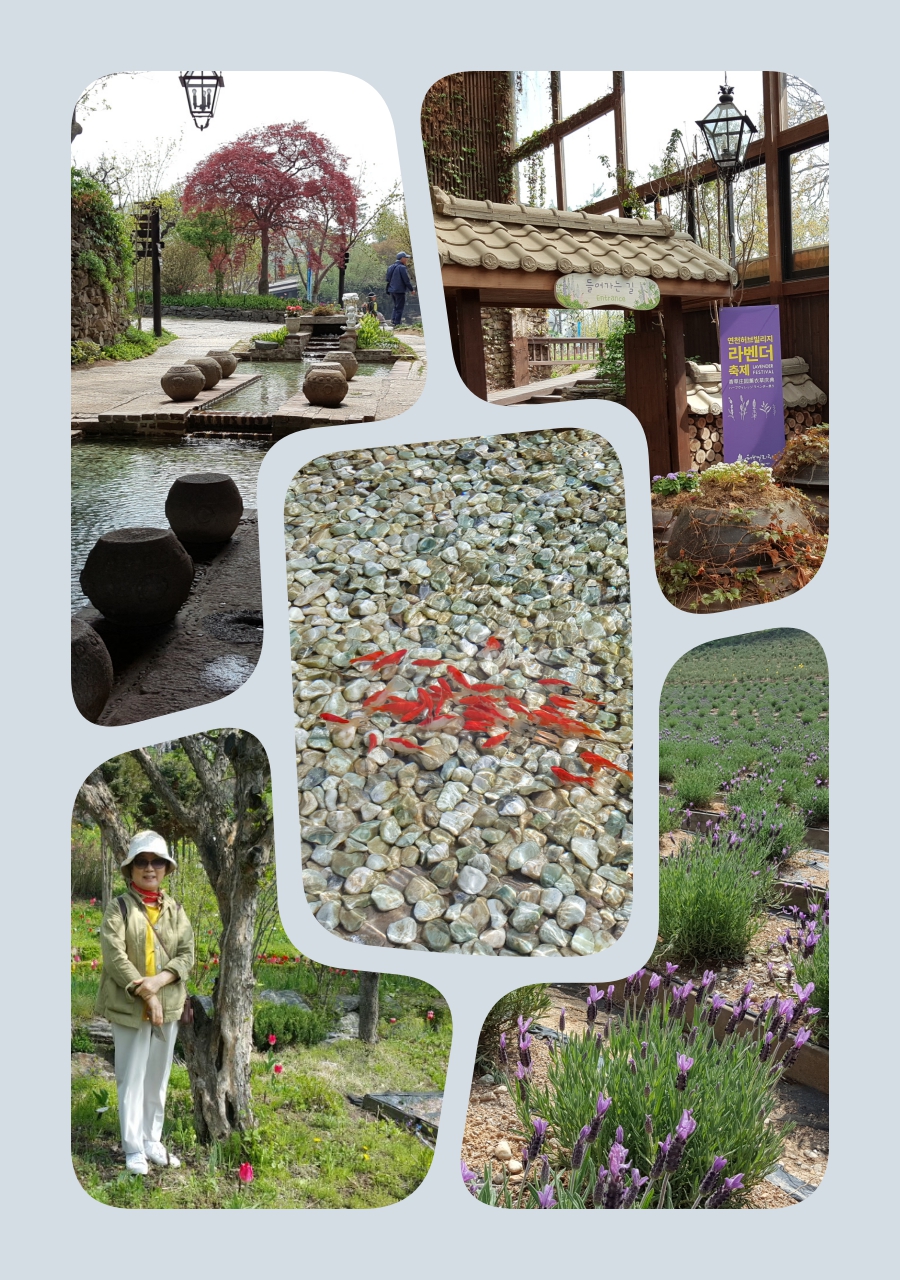 collage7.jpg