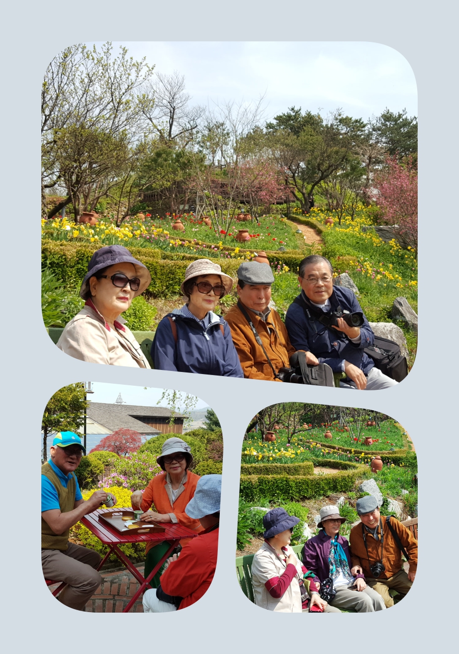 collage4.jpg
