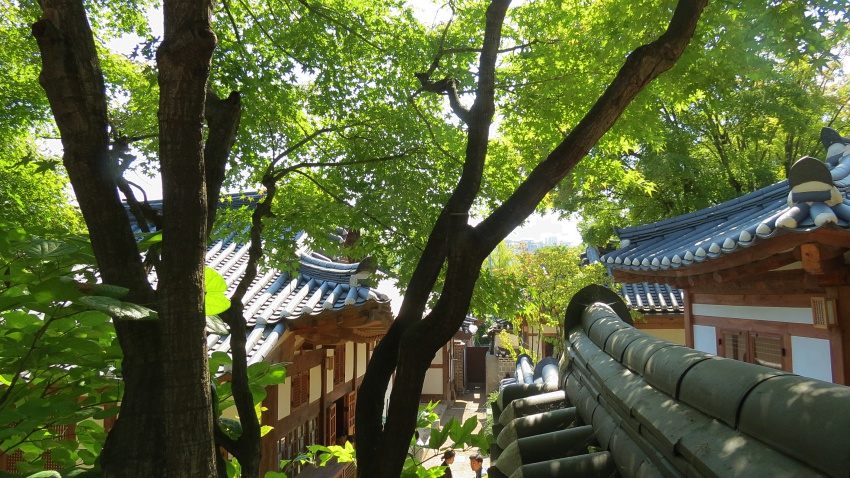 백 026.JPG