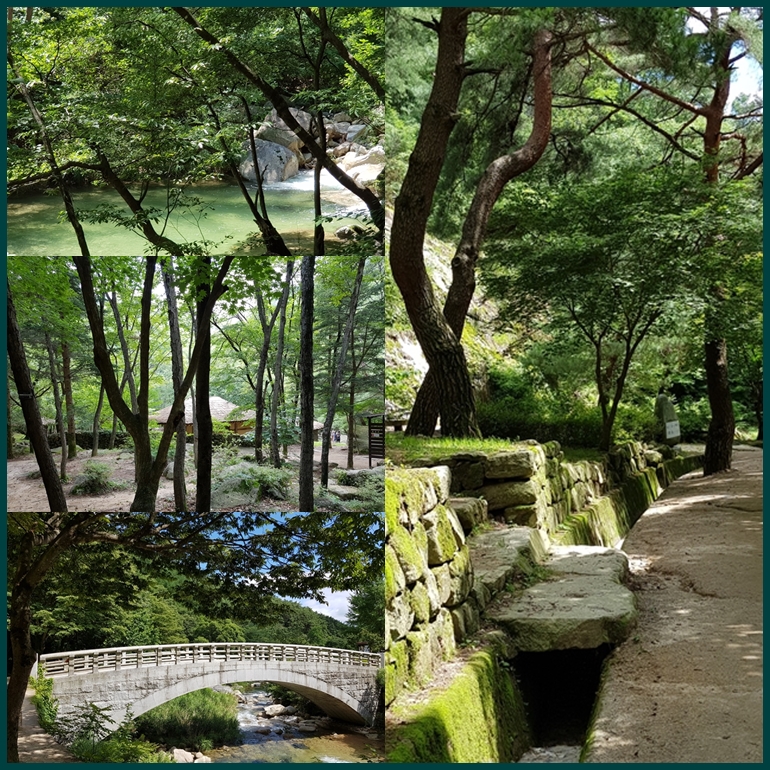2018-07-11 문경새재 페이지12.jpg