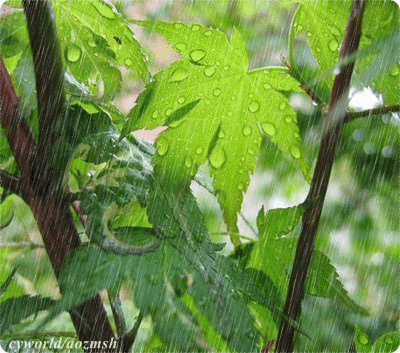 6.gif