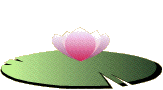 연꽃잎.gif