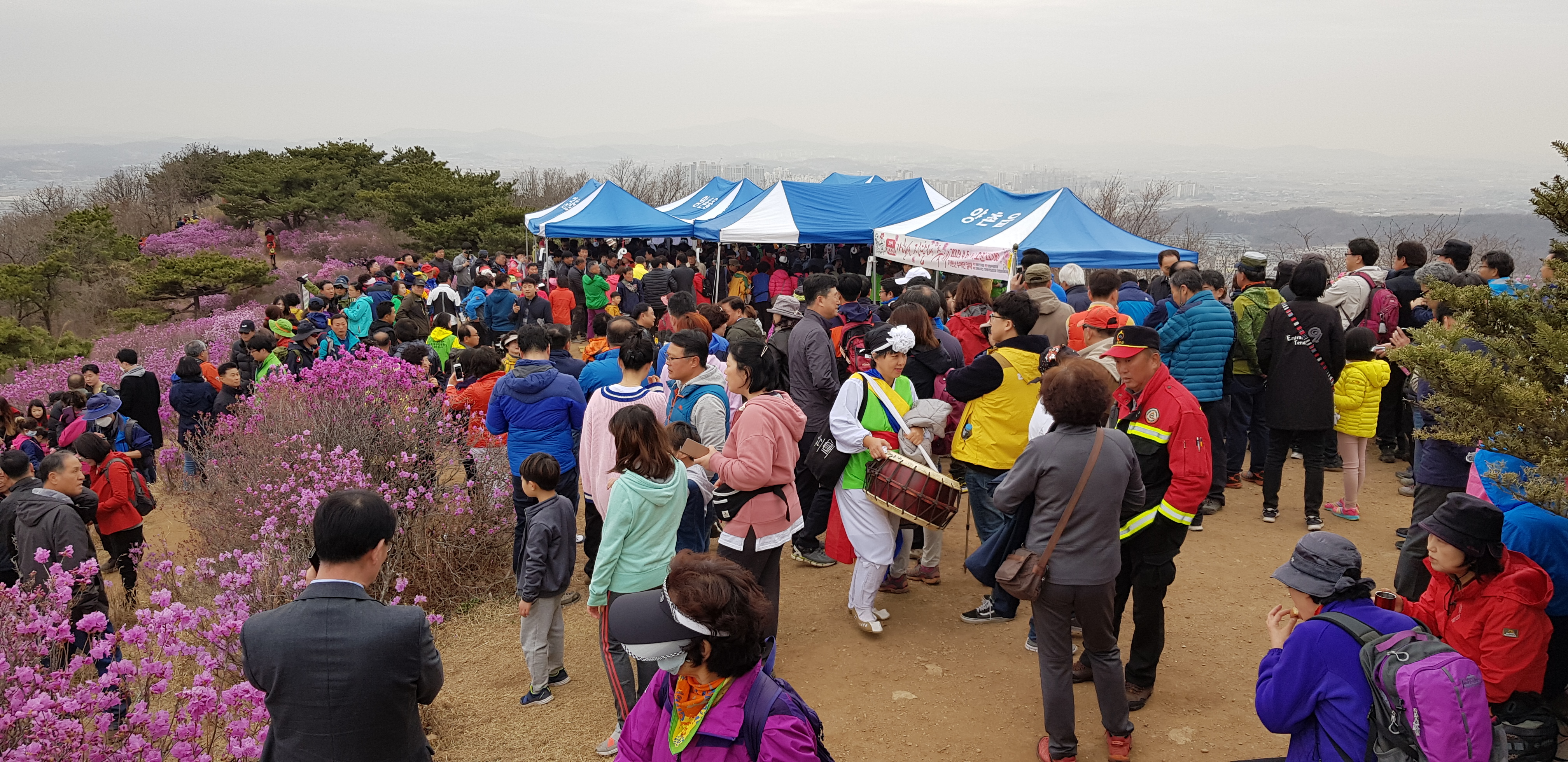 20190406_110400.jpg