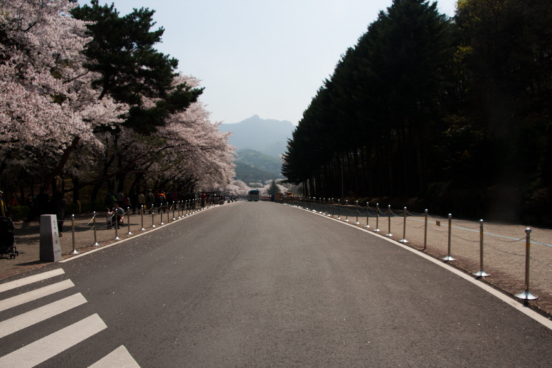 꾸미기_꾸미기_AIMG_0828.jpg