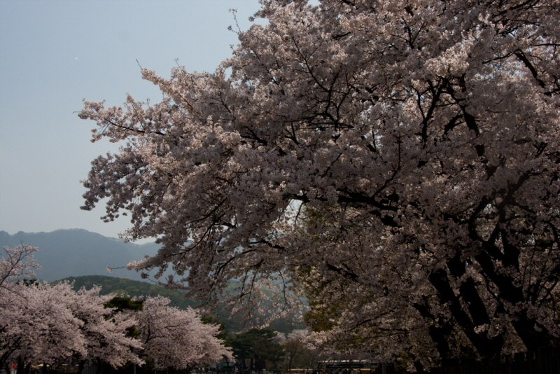 꾸미기_꾸미기_AIMG_0845.jpg