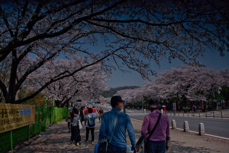 꾸미기_꾸미기_AIMG_0901.jpg