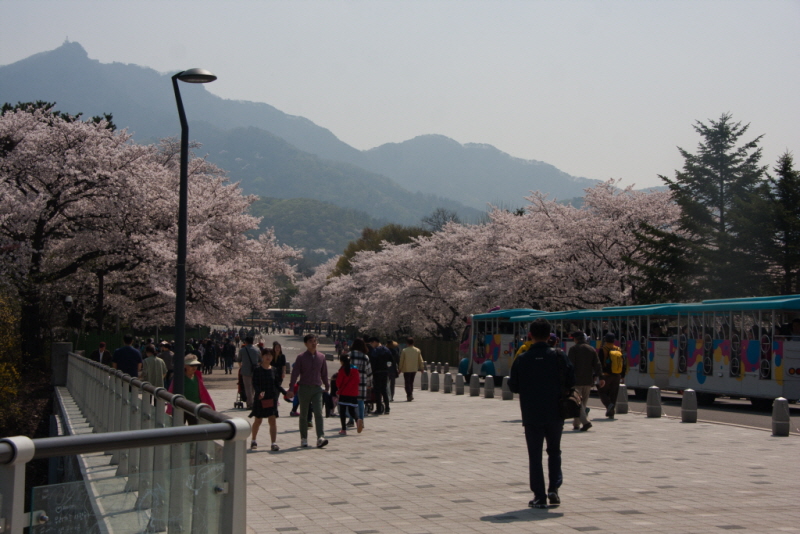 꾸미기_꾸미기_AIMG_0840.jpg
