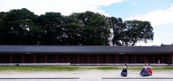 DSC03871 0.JPG