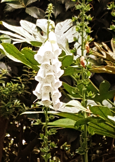 20180529_104003A.jpg