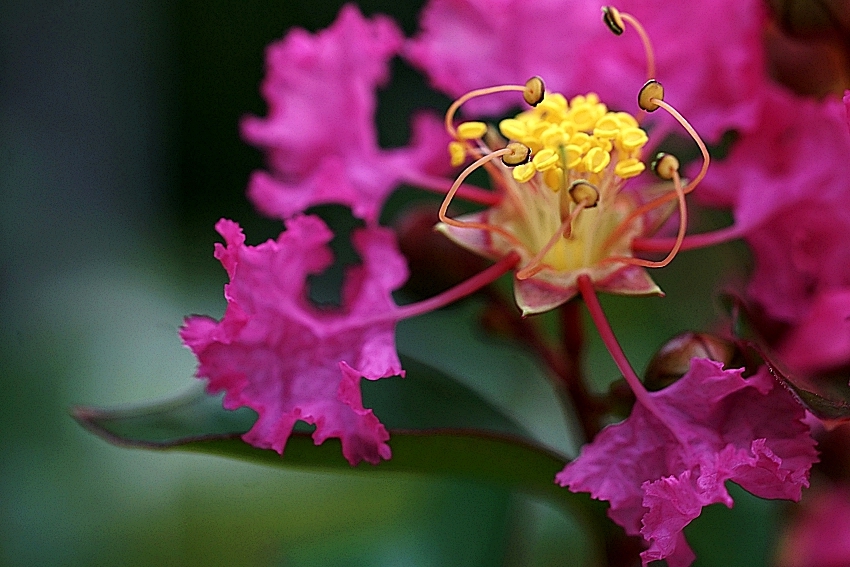 DSC08389 00.JPG