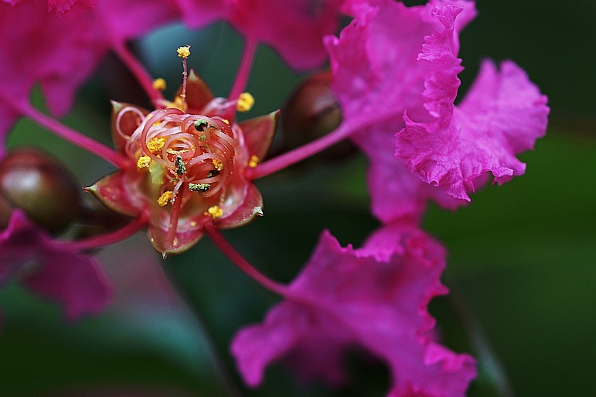 DSC08400 b.JPG