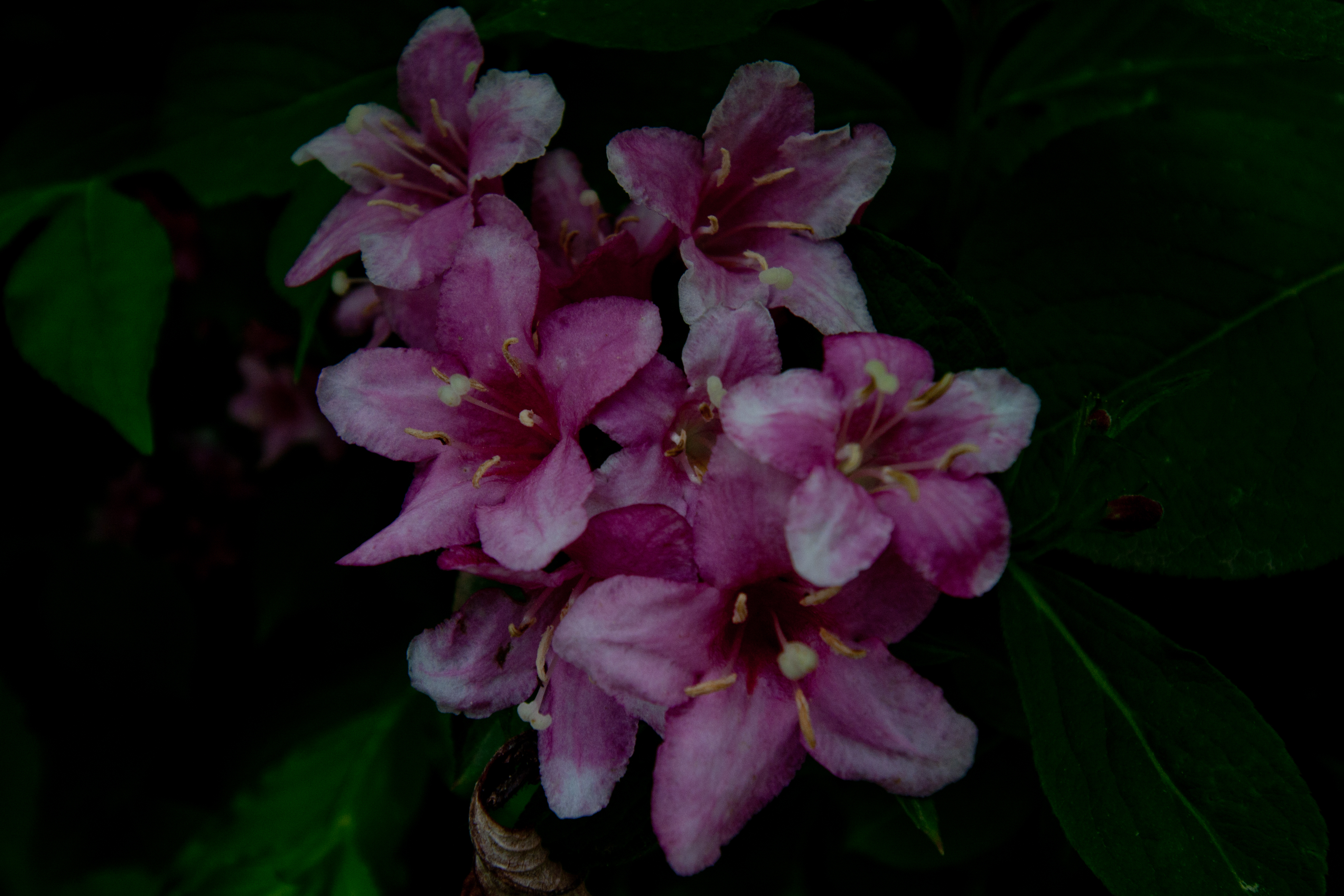 AIMG_2234.jpg