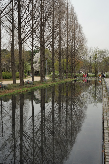 숲 09.jpg
