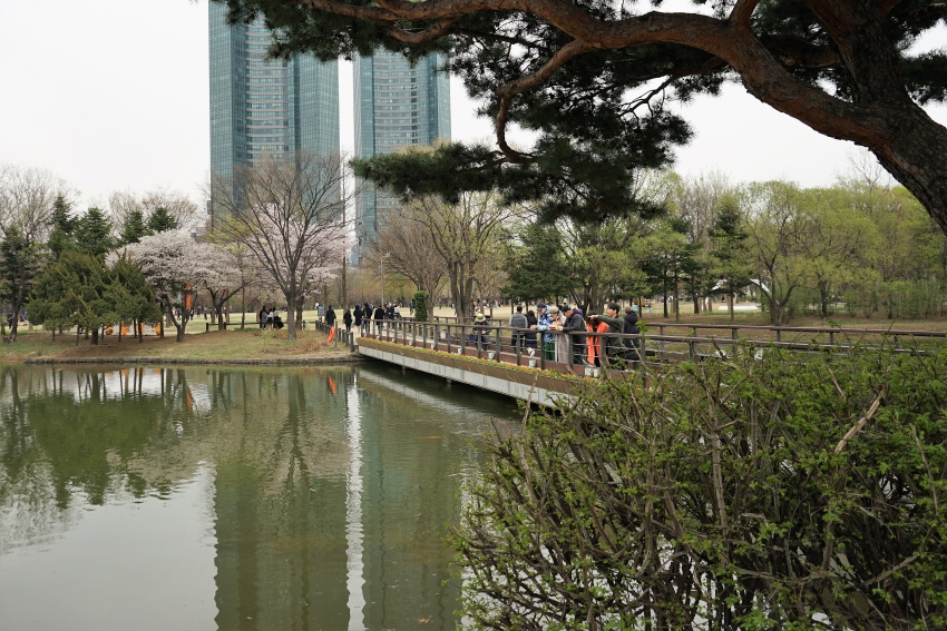 숲 049.jpg