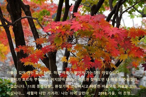 Fall-- Lee, TY 2. JPG- letter-70.jpg