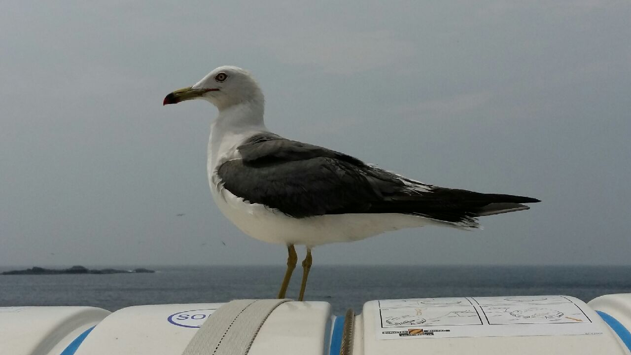 20170701_134557.jpeg