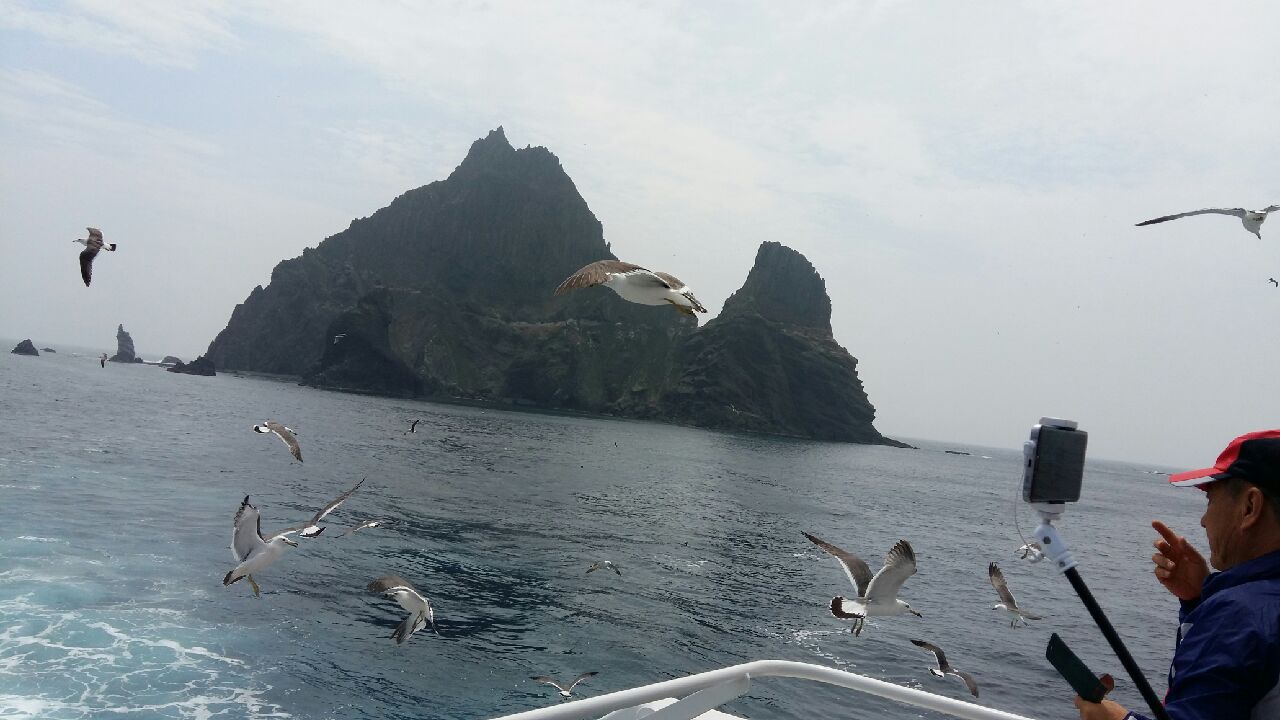 20170701_134344.jpeg