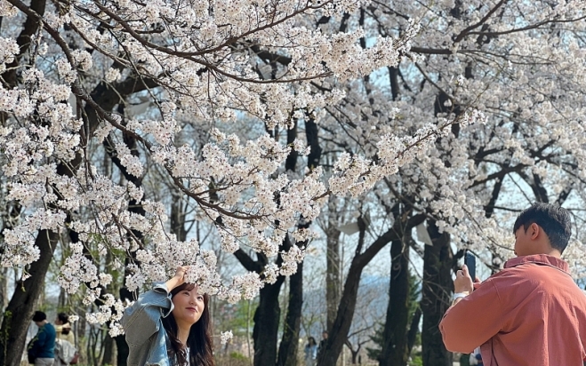 양 068 0.jpg