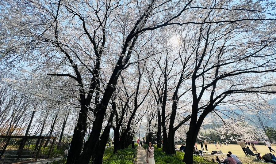 양 071.jpg