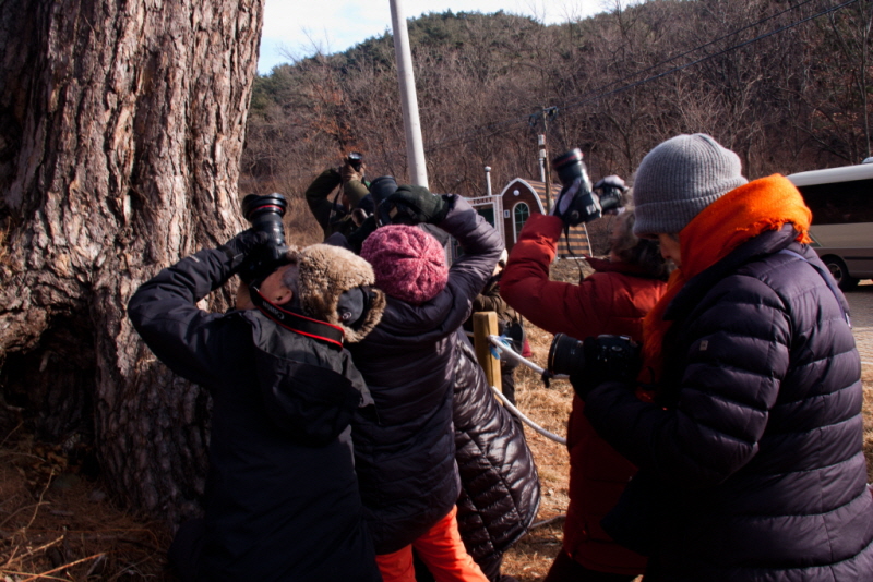 꾸미기_꾸미기_AIMG_8907.jpg