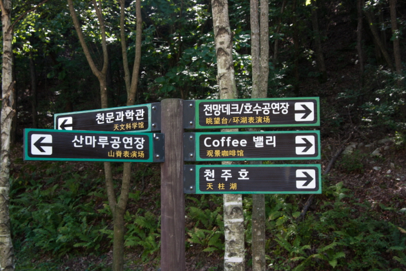 줄여서내보내기_줄여서내보내기_AIMG_7051.jpg