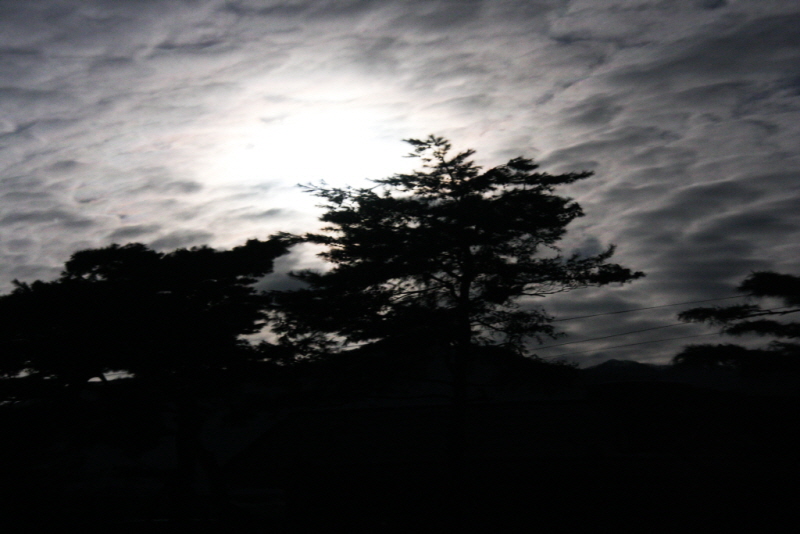꾸미기_꾸미기_AIMG_8617.jpg