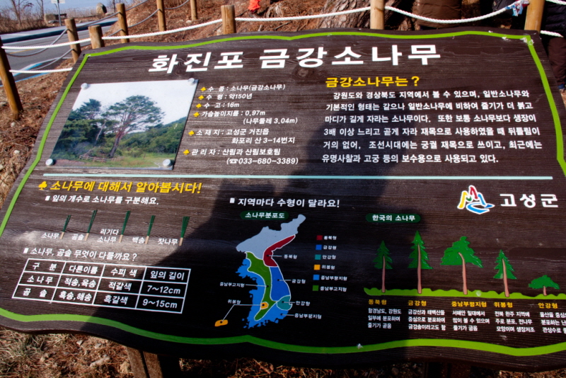 꾸미기_꾸미기_AIMG_8962.jpg