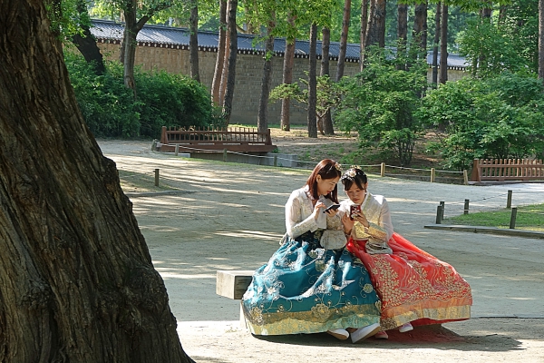 경 010.JPG