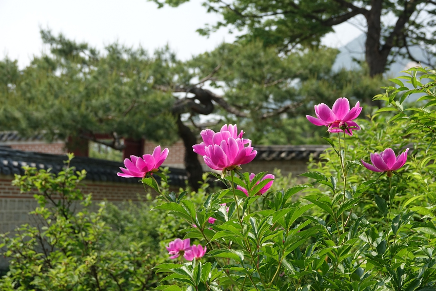 경 022.JPG