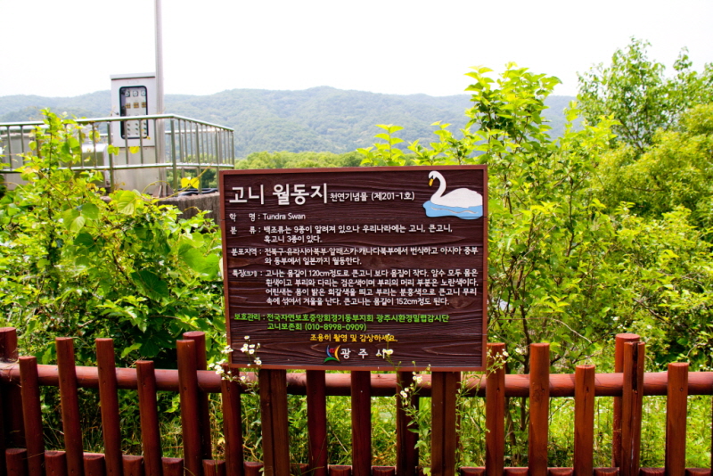 꾸미기_꾸미기_AIMG_1777.jpg