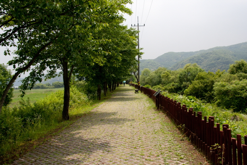 꾸미기_꾸미기_AIMG_1767.jpg