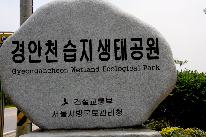 꾸미기_꾸미기_AIMG_1738.jpg