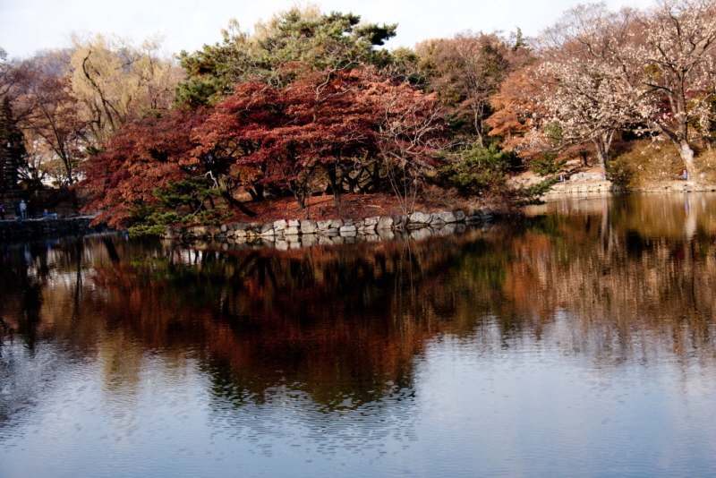 [꾸미기][꾸미기]IMG_8782.jpg