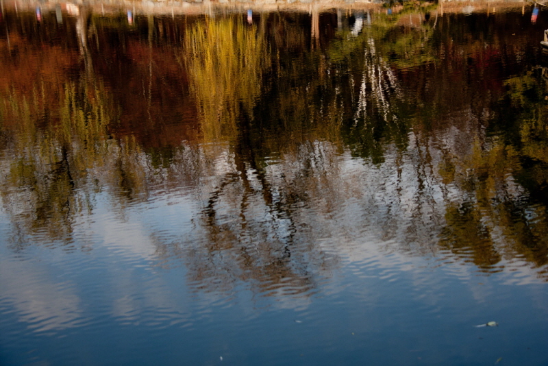 [꾸미기][꾸미기]IMG_8784.jpg