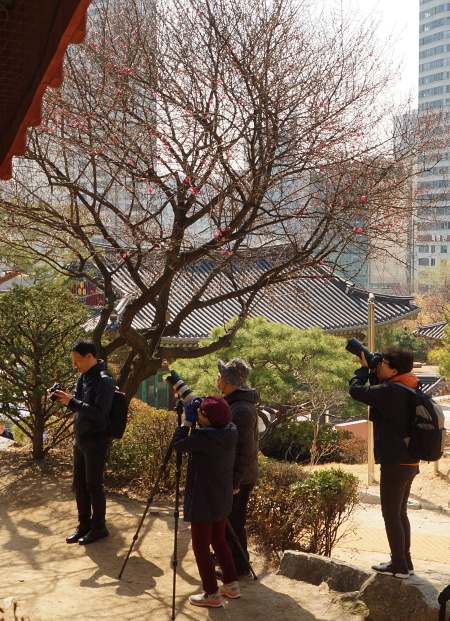 봉 015.JPG
