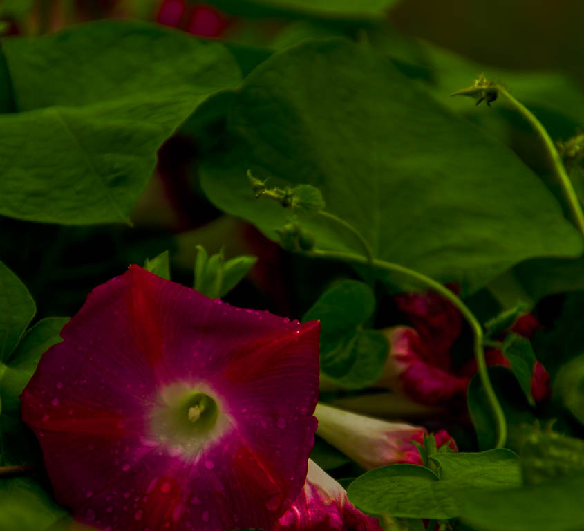 20161001-_DSC0351.jpg