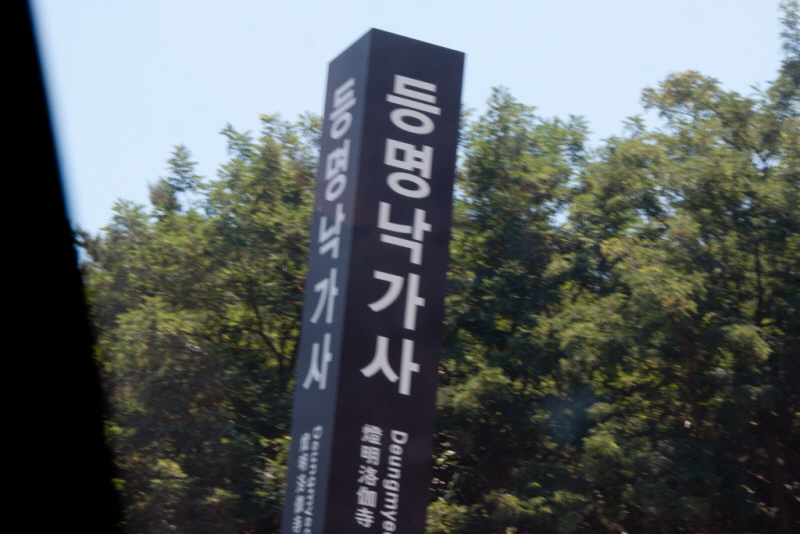 꾸미기_꾸미기_AIMG_5174.jpg