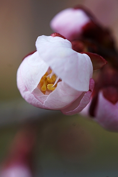 DSC04548 0.JPG