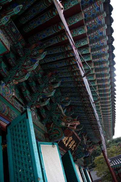 줄여서내보내기_줄여서내보내기_AIMG_7366.jpg