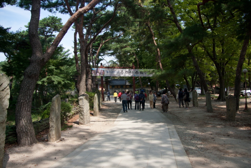 줄여서내보내기_줄여서내보내기_AIMG_7344.jpg