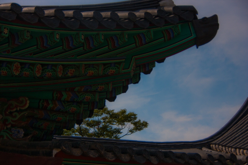 줄여서내보내기_줄여서내보내기_AIMG_7357.jpg