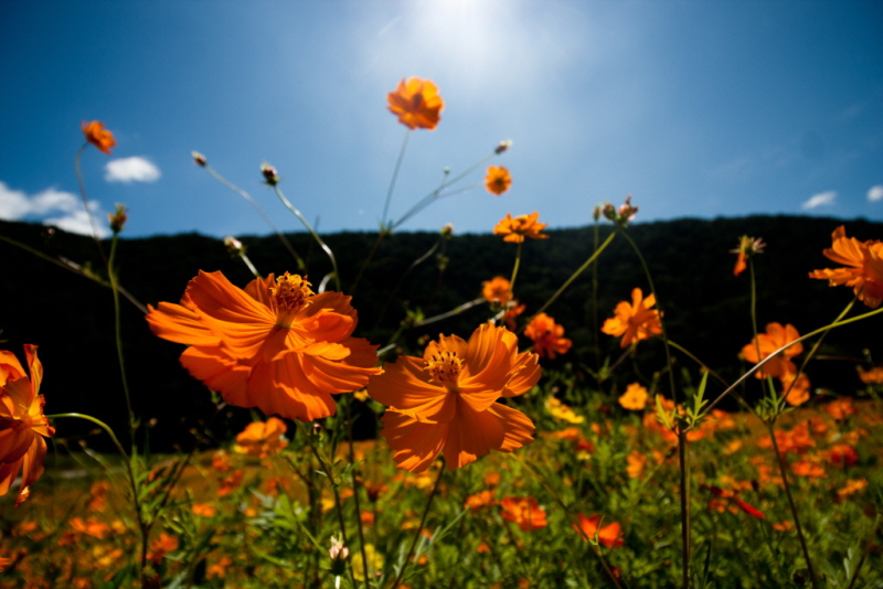 줄여서내보내기_줄여서내보내기_AIMG_6369.jpg