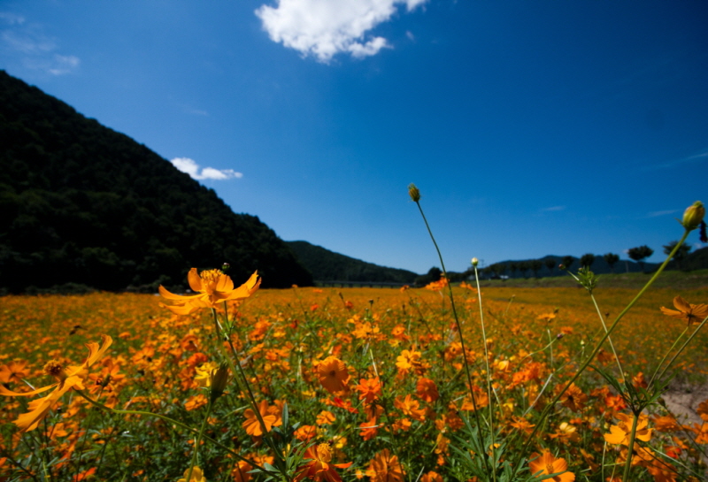 줄여서내보내기_줄여서내보내기_AIMG_6383.jpg