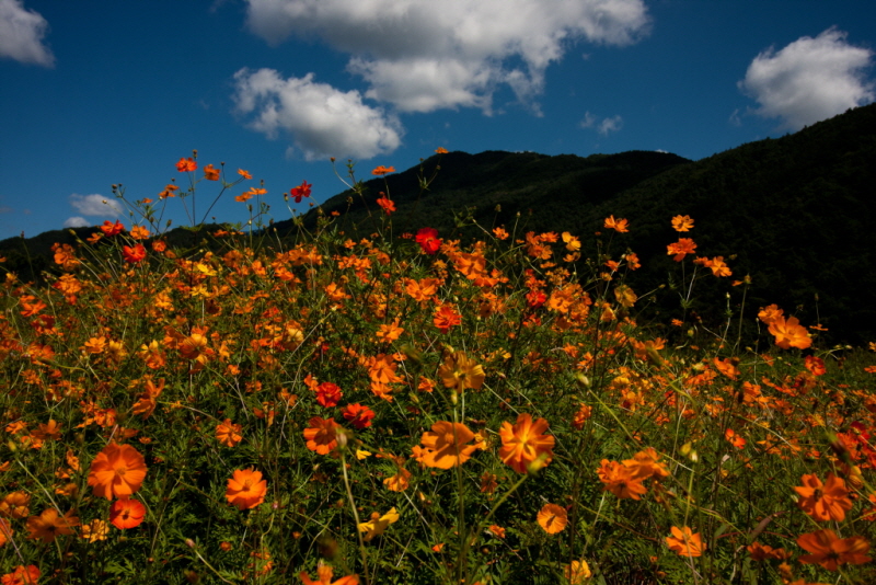 줄여서내보내기_줄여서내보내기_AIMG_6427.jpg
