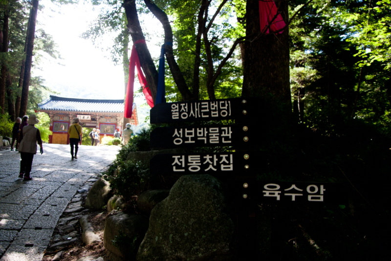 줄여서내보내기_줄여서내보내기_AIMG_6471.jpg