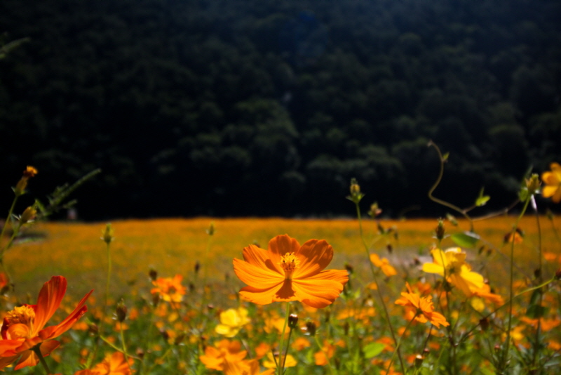 줄여서내보내기_줄여서내보내기_AIMG_6367.jpg