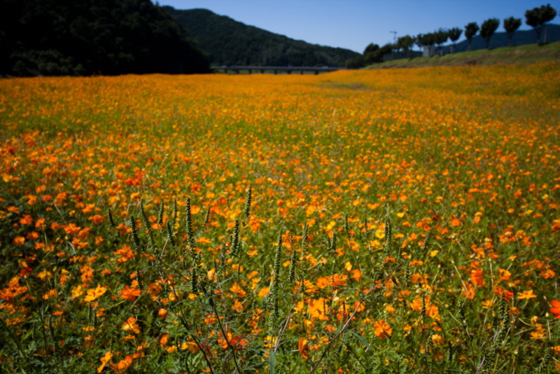 줄여서내보내기_줄여서내보내기_AIMG_6381.jpg