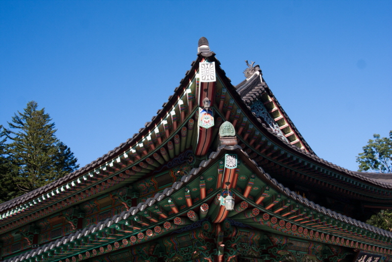 줄여서내보내기_줄여서내보내기_AIMG_6682.jpg