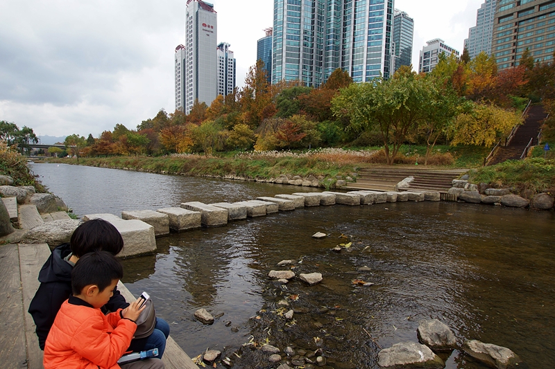 액DSC08856 001.jpg