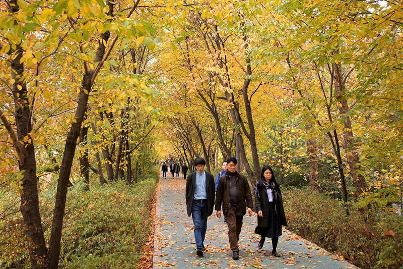 액DSC08910 001.jpg